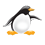 sasa